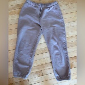 Reformation Tan Skye Boyfriend Joggers (fit like a medium)